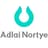 Adlai Nortye logo