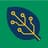 Allspice logo