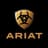 Arist logo