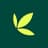 Bamboo logo