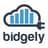 Bidgely logo