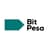 BitPesa logo