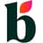 Bloom Money logo