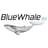 BlueWhale Bio, Inc. logo