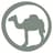 Cocoon logo