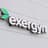 Exergyn logo
