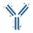 Immunitoai logo