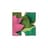 Kapiva logo