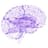 MindPortal logo
