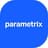 Parametrix logo