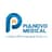 Pulnovo Medical logo