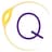 Qedma logo
