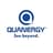 Quanergy logo