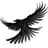 Raven logo