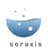 Seraxis logo