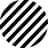 Spotted Zebra logo