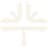 Tebra Technologies, Inc. logo