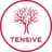 Tensive logo