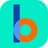 The bina School logo