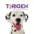 Torigen Pharmaceuticals logo