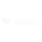 Valora Therapeutics logo