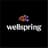 Wellspring logo