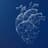 x-cardiac logo