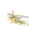AMP Coalition logo