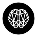 Big Brain Holdings logo