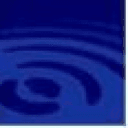 Blue Pool Capital logo