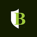 Boutique Venture Partners logo