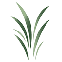 Creation Investments logo