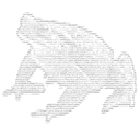 dao5 logo