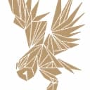 First Light Capital Group logo