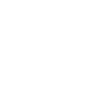 LifeX logo