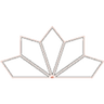 Lotus Capital logo