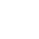 Planetary Impact Ventures logo