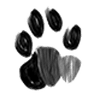 Snow Leopard logo