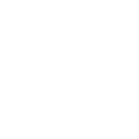 Vargas logo