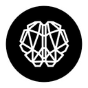 Big Brain Holdings logo