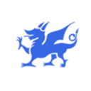 Celtic House Venture Partners logo