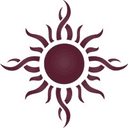 DNS Capital logo