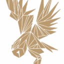 First Light Capital Group logo