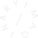 Imaginary Ventures logo