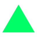 N49P logo