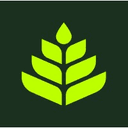 Wollemi Capital logo
